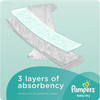 Pampers Baby Dry Diapers - Size 6 - 21 ct  (Packaging & Prints May Vary)