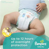 Pampers Baby Dry Diapers - Size 6 - 21 ct  (Packaging & Prints May Vary)