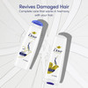 Dove Ultra Care Shampoo Intensive Repair for Damaged Hair Shampoo with Bio-Restore Complex 12 oz