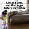 Raid Max Bed Bug Crack & Crevice Extended Protection Foaming Spray, Kills Bed Bugs for up to 8 weeks on Laminated Woods and Surfaces, 17.5 oz