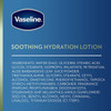 Vaseline Intensive Care Body Lotion Aloe Soothe - 10 fl oz