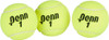 Penn Championship Extra-Duty Felt Tennis Balls Can - 3 Count per Can