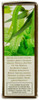 rareEARTH Aromatherapy Oil, Breathe Ease