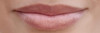 Burts Bees 100% Natural Tinted Lip Balm, Pink Blossom with Shea Butter & Botanical Waxes 1 Tube