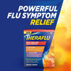 Theraflu Max Strength Daytime Flu Symptom Relief - 6 Ct Plus Max Strength Nighttime Flu Medicine for Flu Symptom Relief - 6 Ct Combo