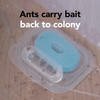 Raid Max Liquid Ant Bat; Kills Ants Where They Breed, For Indoor and Outdoor Use; 4 Bait Stations