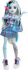 Monster High Frankie's Day Out Doll, MTHKY73, Pink