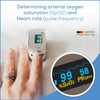 Beurer Bluetooth Digital fingertip Pulse Oximeter, Blood Oxygen Saturation & Pulse Rate Monitor with Accessories, 1 Count