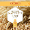 Burt's Bees for Pets Oatmeal Dog Shampoo | With Colloidal Oat Flour & Honey | Moisturizing & Nourishing, Cruelty Free, Sulfate & Paraben Free, pH Balanced for Dogs - Made in USA, 16 Oz