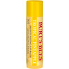 Burt's Bees Lip Balm - Pineapple - 0.15oz (Pineapple)