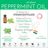 artnaturals 100% Pure Peppermint Essential Oil (.5 Fl Oz / 15ml) - Premium Therapeutic Grade Mentha Peperita - Fresh Mint for Hair Growth and Skin - Repel Mice and Spiders - Natural Rodent Repellent