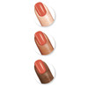 Sally Hansen Color Therapy Nail Polish, Couple's Massage, Pack of 1