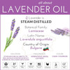 artnaturals 100% Pure Lavender Essential Oil - (.5 Fl Oz / 15ml) - Premium Undiluted Therapeutic Grade Natural from Bulgaria - Aromatherapy for Diffuser