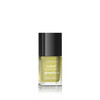 CoverGirl Outlast Stay Brilliant Nail Glosstinis, Appletini, 0.11 Fluid Ounce