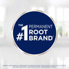 Clairol Root Touch-Up Permanent Hair Color Creme, 6 Light Brown, 1 Count