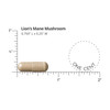 DOCTORS' PREFERRED Lions Mane Mushroom Supplement - 1,000 mg/Serving, 60 Vegan Capsules for Brain Health and Overall Daily Wellness. (30-Day Supply)