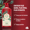 Caseeto Old Spice Reinvigorate Shampoo with Tea Tree Shampoo for Men, 650 Milliliters