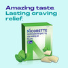 Nicorette 2mg Nicotine Gum to Quit Smoking - Mint Flavored Stop Smoking Aid, 170 Count