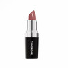 COVERGIRL Continuous Color Lipstick It's Your Mauve 030, 0.13 oz (packaging may vary)