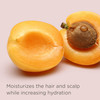 Hairitage Restart Button Scalp Exfoliator for Dry and Sensitive Scalp - Promote Scalp Health - Clarifying Scalp Scrub for Healthier and Stronger Hair