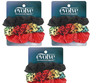 Firstine Evolve 3 Ct Assorted Scrunchies (Pack Of 3)