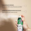 Suave Rosemary & Mint Invigorating Dry Shampoo, Infused with 100% Natural Ingredients for Instantly Reviving Oily Hair, 4.3 oz, 12 Pack