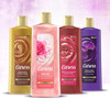 Caress Exfoliating Body Wash for Everyday Use Shea Butter & Brown Sugar 18 oz