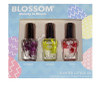 Blossom Beauty in Bloom Scented Cuticle Oil Gift Set 3-PK Lavender Jasmine Rose