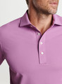 Soul Performance Mesh Polo in Valencia by Peter Millar