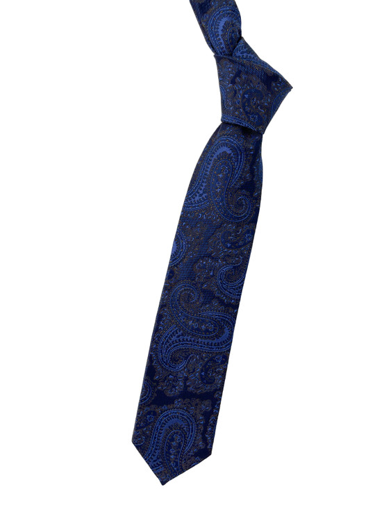 Best of Class Blue, Black and Brown Paisley Woven Silk Tie by Robert Talbott