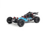The ARRMA RAIDER Dune Buggy is built for extreme terrain and will also provide exciting performance during asphalt thrashing RC sessions.
