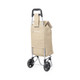 Shopping Trolley foldable Benorax