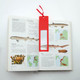 Ruler Magnifier Bookmark Okam