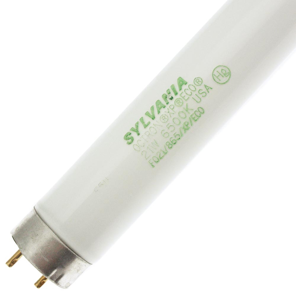 FO21/865/XP/ECO - T8 Glass - Bi-Pin (G13) Base - 21 Watt - ATR