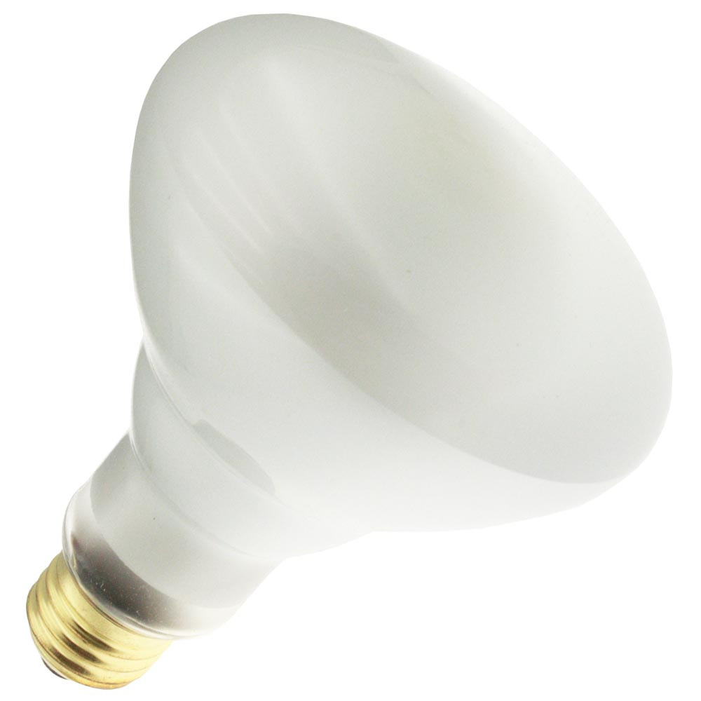 65BR30/FL 130V - 130 Volt - 65 Watt - Frost - ATR Lighting Inc.