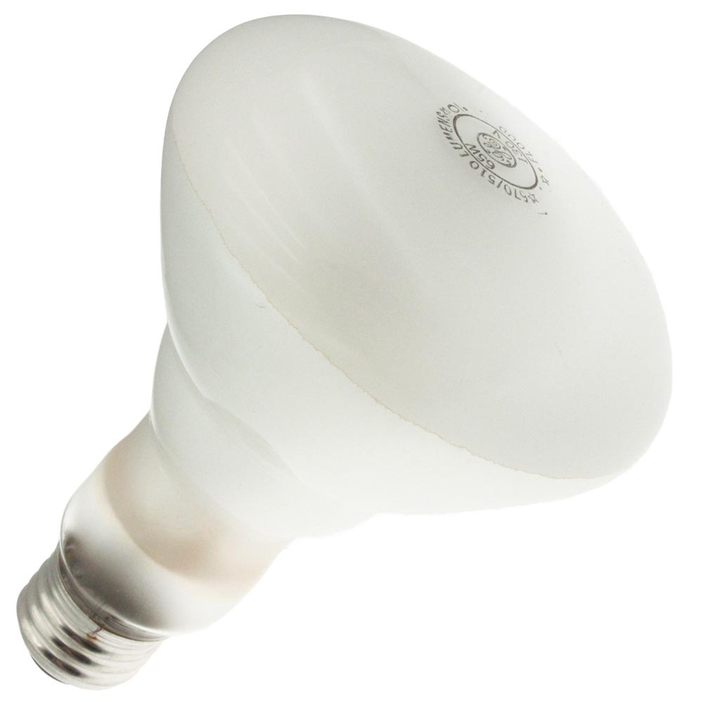65R30/FL 130V - 130 Volt - 65 Watt - Very Wide Flood - ATR Lighting Inc.