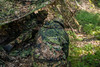 MIL-TEC® PHANTOMLEAF® WASP I Z3A SCU 14 SOFTSHELL JACKET MIL-TEC® PHANTOMLEAF® WASP I Z3A SCU 14 SOFTSHELL JACKET