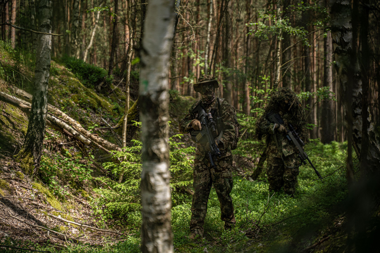 NITRAID  forest ARMY raidback®︎fabric NITRAID dope forest ARMY raidback®︎fabric NITRAID dope