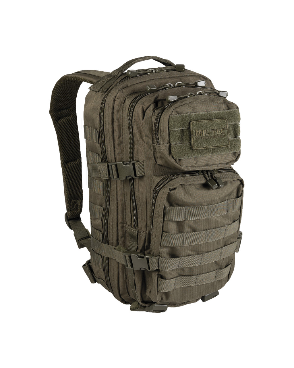 MIL-TEC Assault Backpack, Flecktarn Camo, 36L, 140 - Backpacks, Totes &  Luggage at  : 1026284763