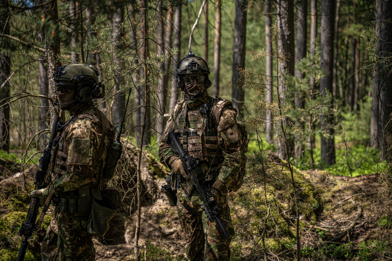 MIL-TEC® PHANTOMLEAF® WASP I Z2 GEN.II PLATE CARRIER - STURM