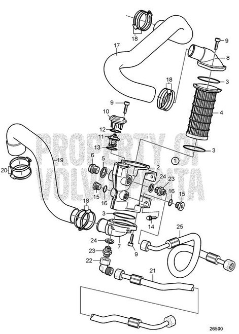 Hose by Volvo Penta (23001231)