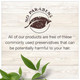 Garnier Whole Blends Weightless Moisture Conditioner with Almond Milk and Agave Extract 12.5 fl. oz.