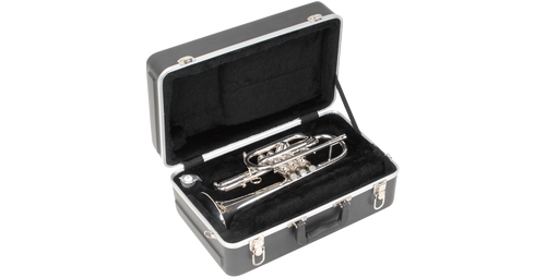 SKB Cases SKB-1SKB-325