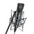 Neumann U89I
