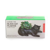 Cosmo the Black Cat Planter (KIK PL14)