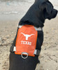 Texas Longhorn Chesapeake Harness (4 Sizes) (CH-TEX)