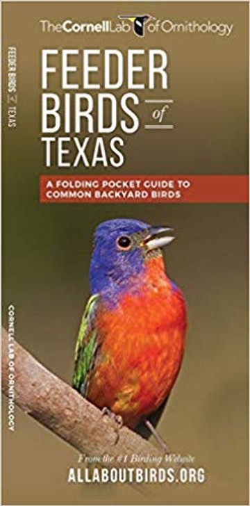 Texas Feeder Birds: A Folding Pocket Guide to Backyard Birds (9781620052204)