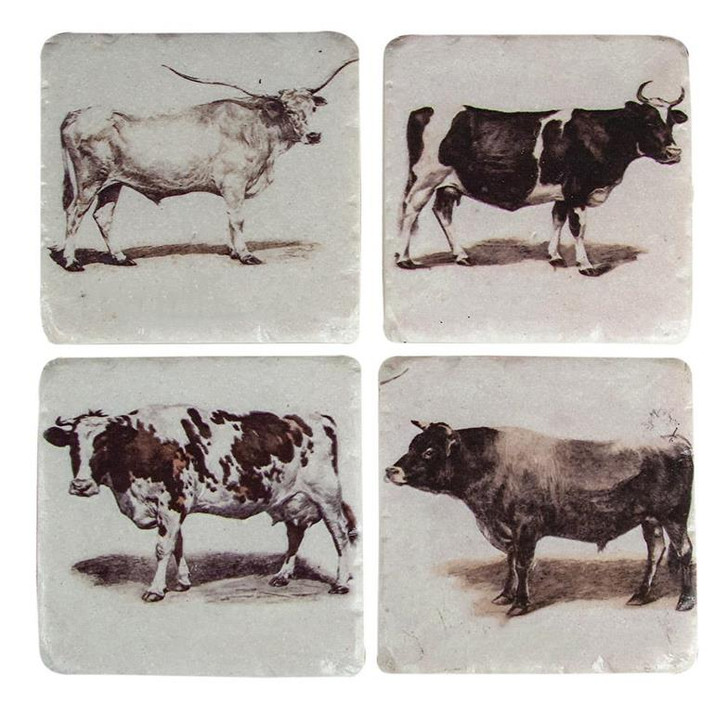 Texas Bovine Coasters (Set of 4) (RMCSBV)