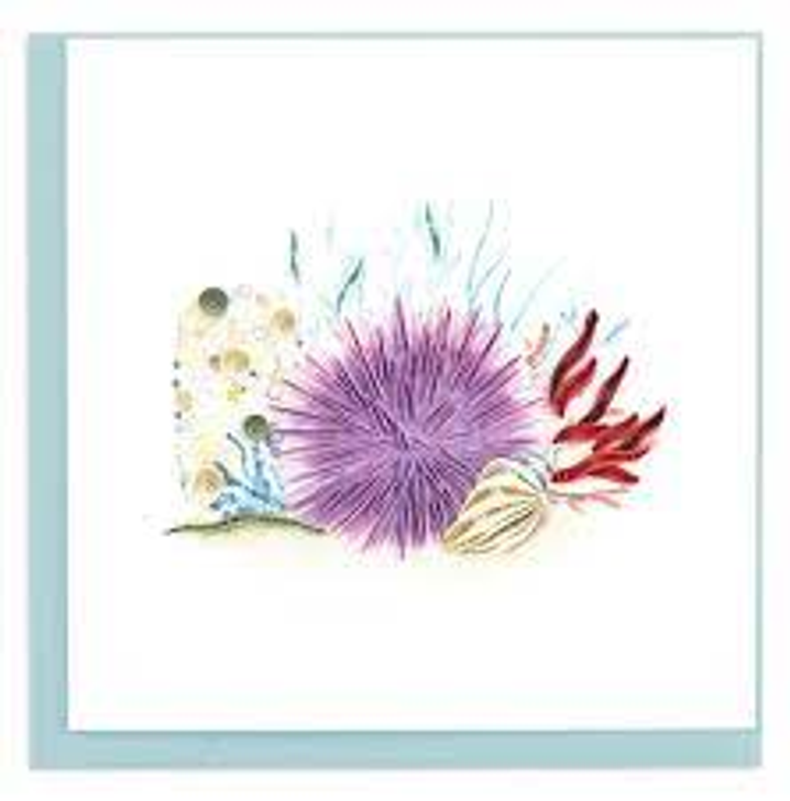 Sea Urchin Quilling Card