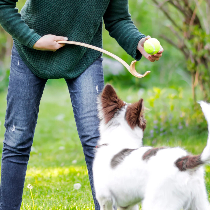 Wooden Ball Launcher (KIK DIG20)